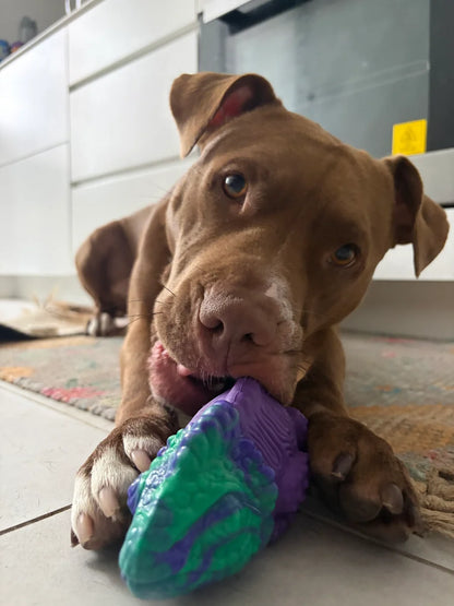 Happy Staffy Co. Camo the Chameleon Dog Chew Toy