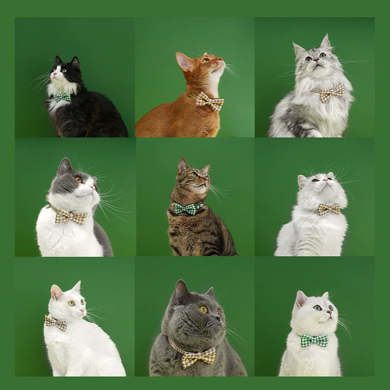 Zeze Checkerboard Cat Collar with Bow Tie