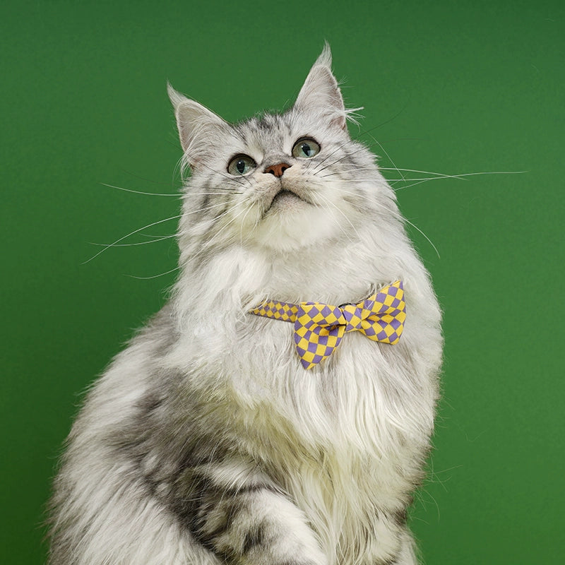 Zeze Checkerboard Cat Collar with Bow Tie