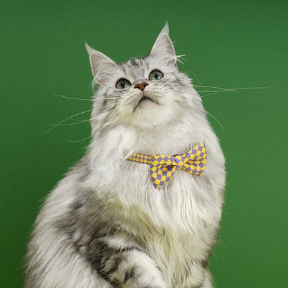 Zeze Checkerboard Cat Collar with Bow Tie
