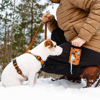 Woolly Wolf Sea To Summit Dog Leash
