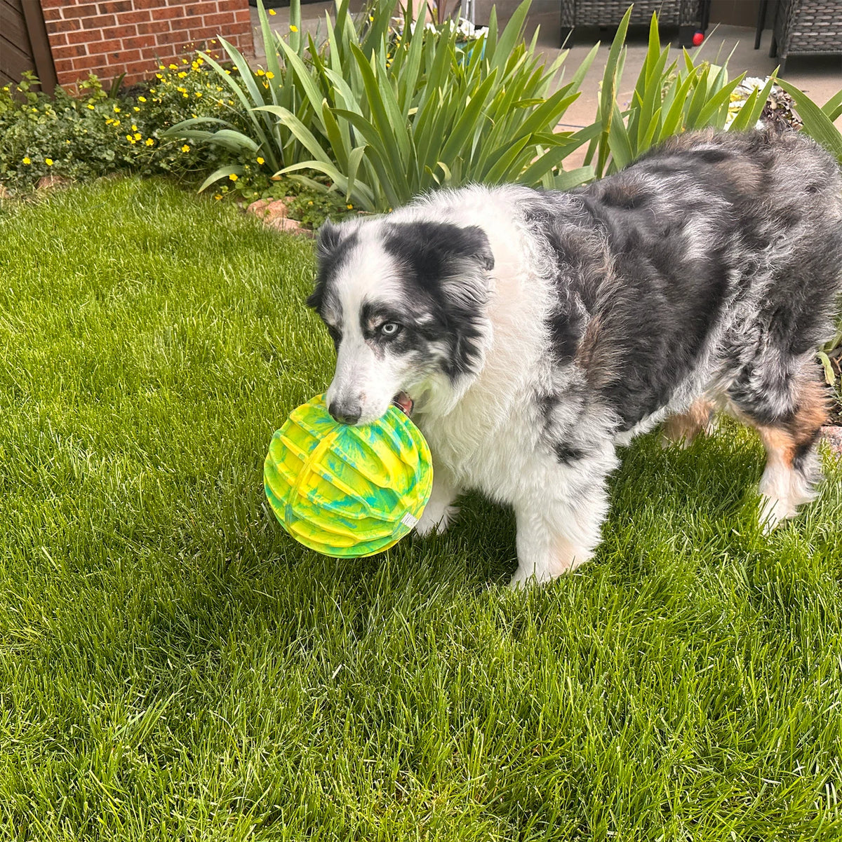 KONG Flexball Sport Dog Toy - Green XL