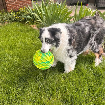 KONG Flexball Sport Dog Toy - Green XL