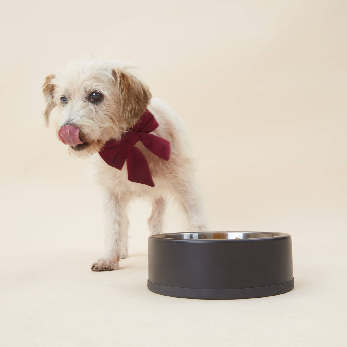 The Foggy Dog Burgundy Velvet Lady Dog Bow