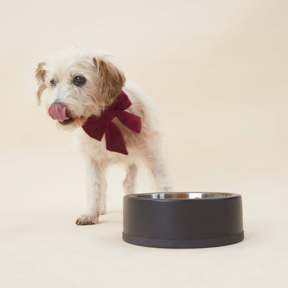 The Foggy Dog Burgundy Velvet Lady Dog Bow