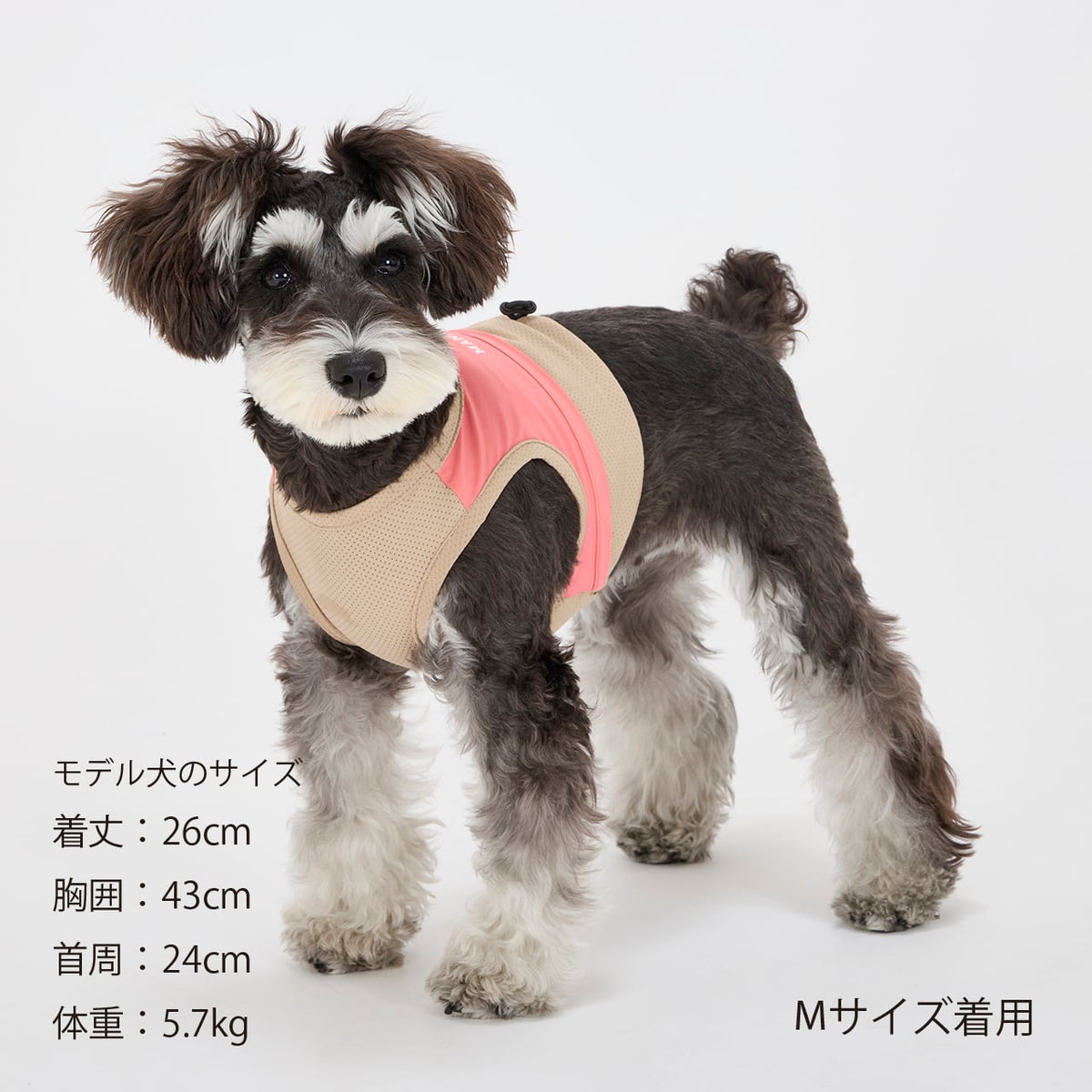 MANDARINE BROTHERS COOLING VEST