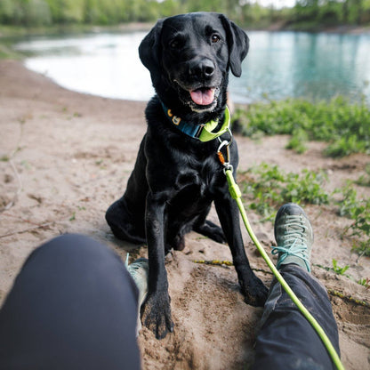 Rope Dog Leash Lime Outlet