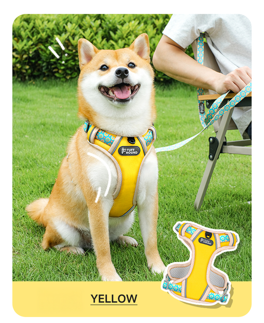 TUFFHOUND No-Pull Vest Dog Leash Set-Yellow