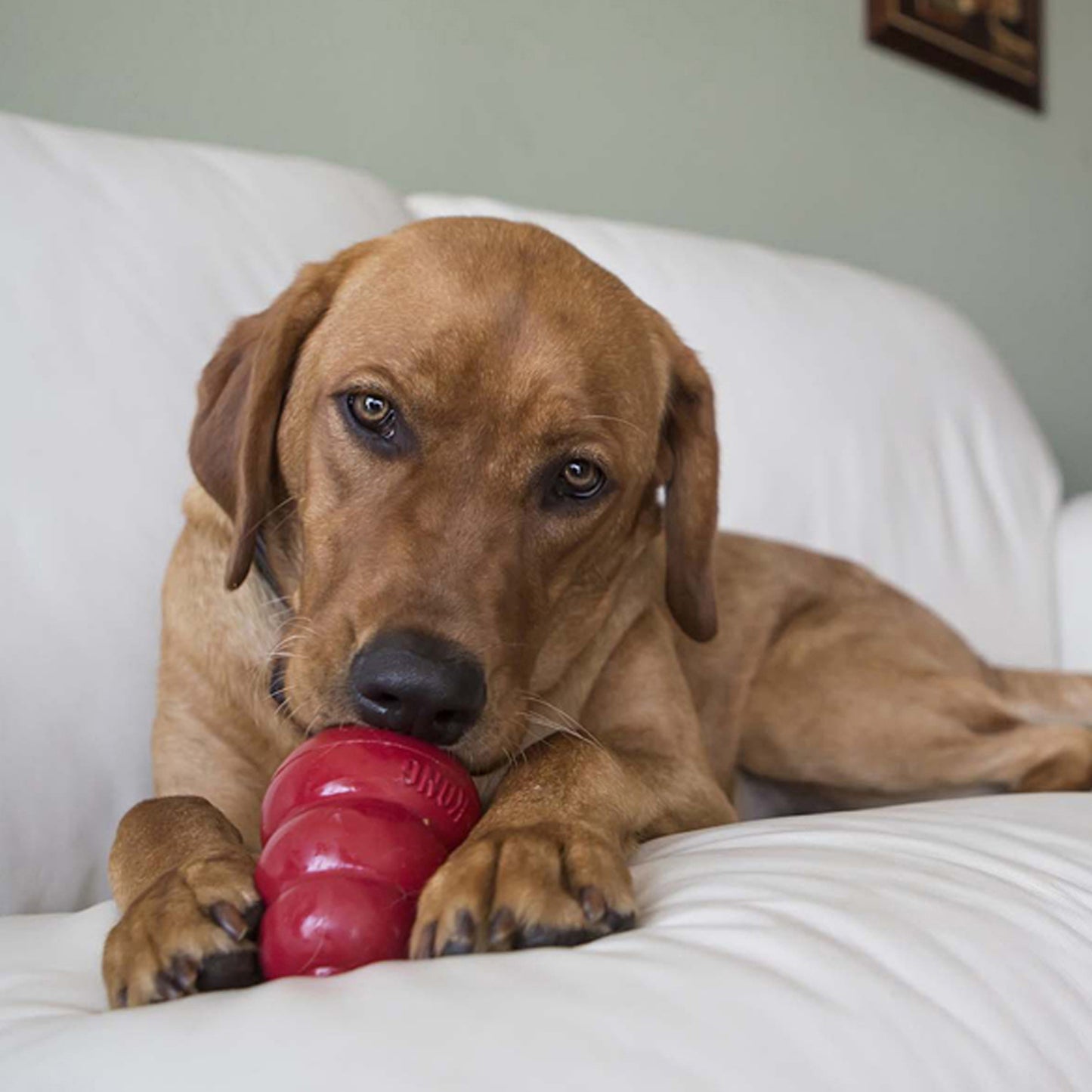 KONG Snack Stuff To Extend Playtime Peanut Butter - Large 312g