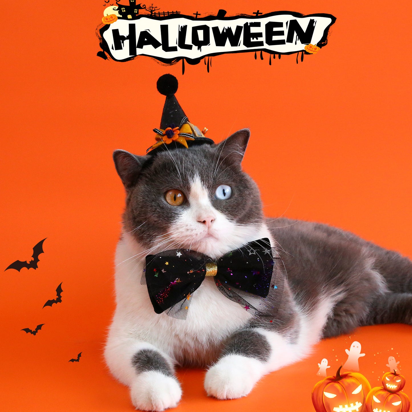 Pet Halloween Outfit Set - Black