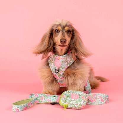 Flora & Fern: Dog Leash