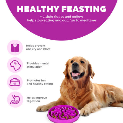 OUTWARD HOUND FUN FEEDER DROP PURPLE MEDIUM/MINI