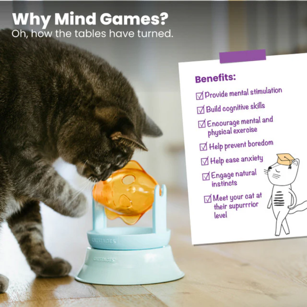 Catstages 2in1 Topper Spin Fish Bowl Treat Dispensing Cat Toy