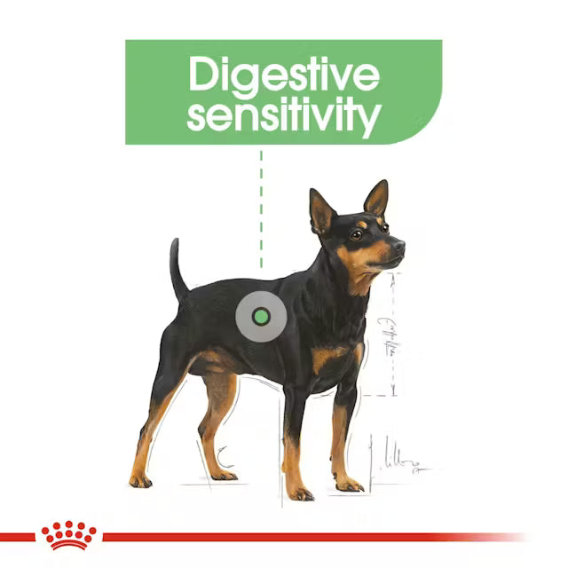 ROYAL CANIN Digestive Care Mini Adult Dog Food 3kg