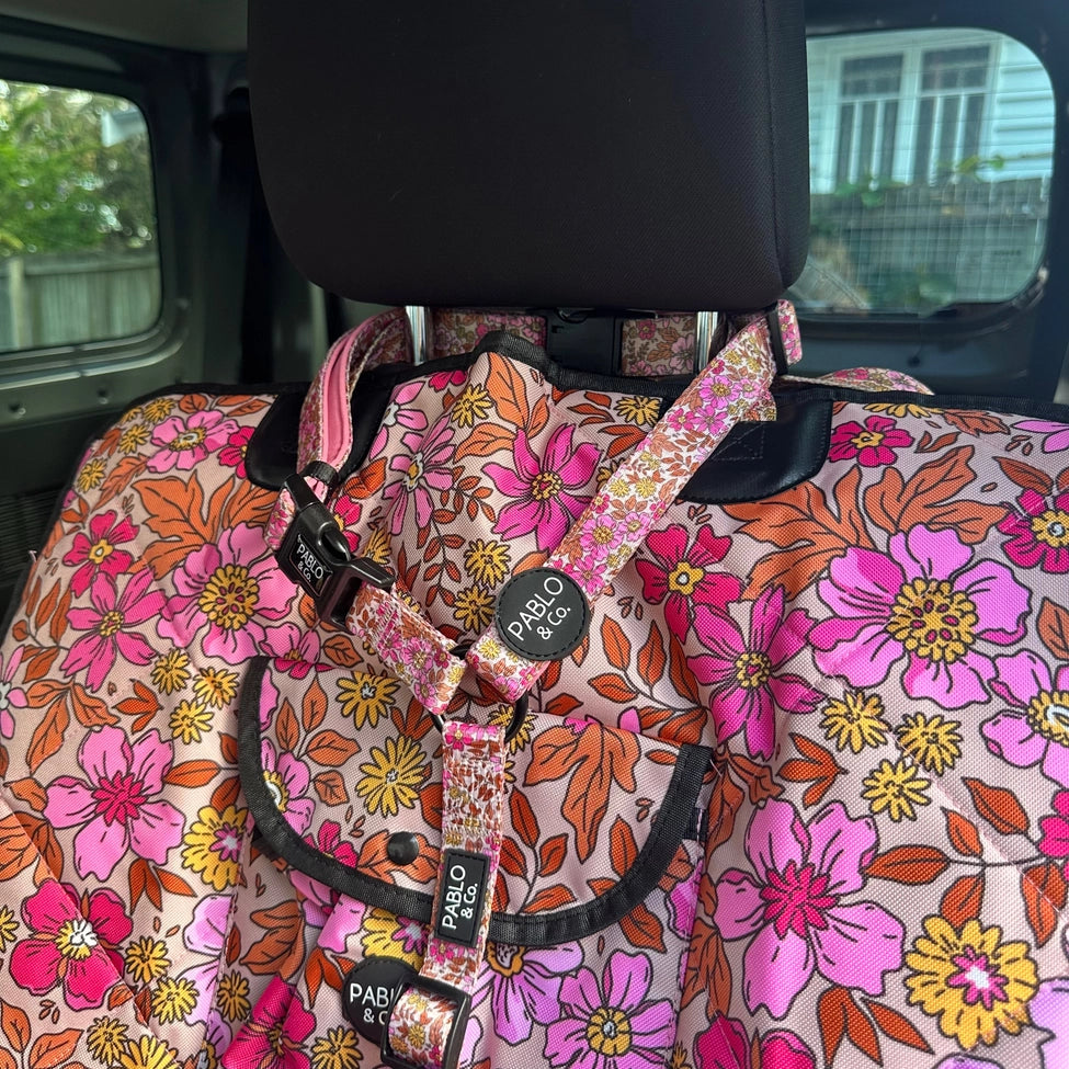 Pablo Headrest Car Restraint