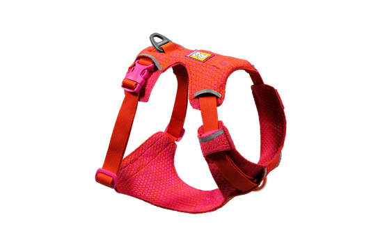 (2026 NEW) RUFFWEAR FRONT RANGE® FLEX HARNESS -Rose Violet