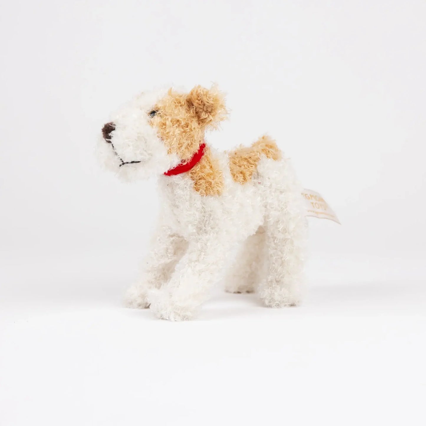 Eliot the Jack Russell