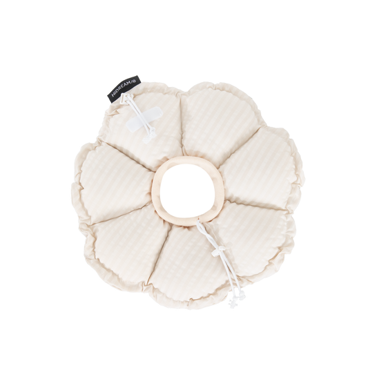Flower Shaped Adjustable Soft Pet Recovery Collar/Elizabeth Collar - Beige