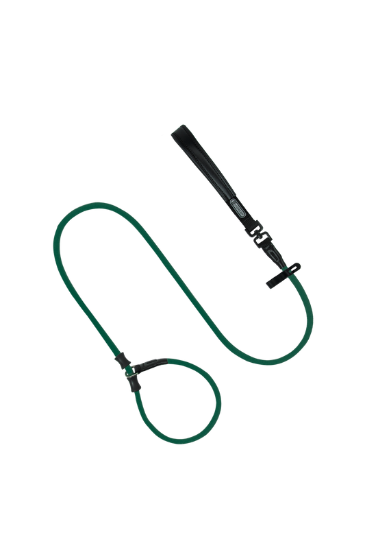 Bobo Series Thick P Dog Leash (180cm)- Green