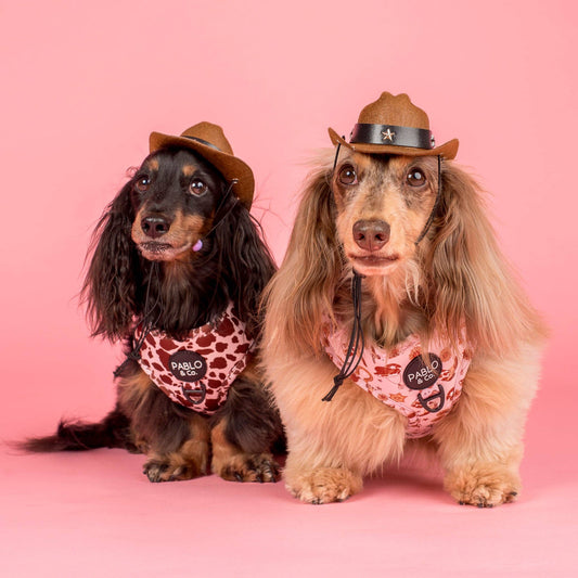 Pet Cowboy Hat
