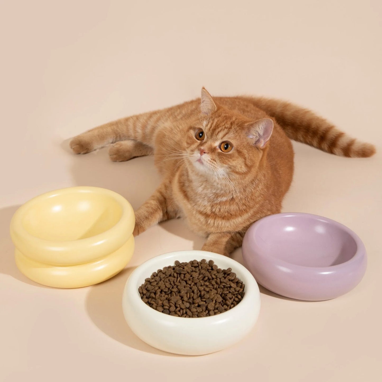 Deep Ceramic Donut Pet Bowl