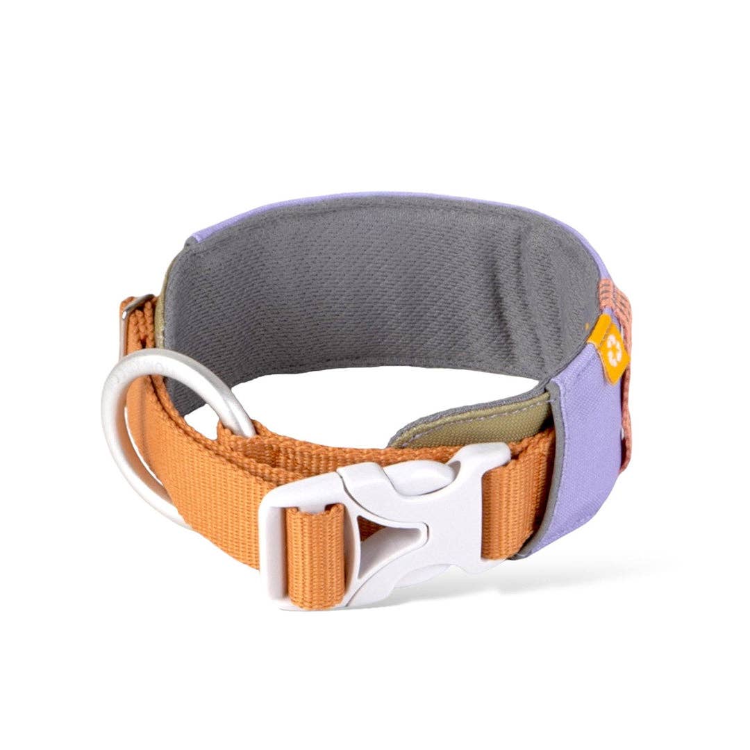 Alpha 360 Dog Collar Recycled (RPET)