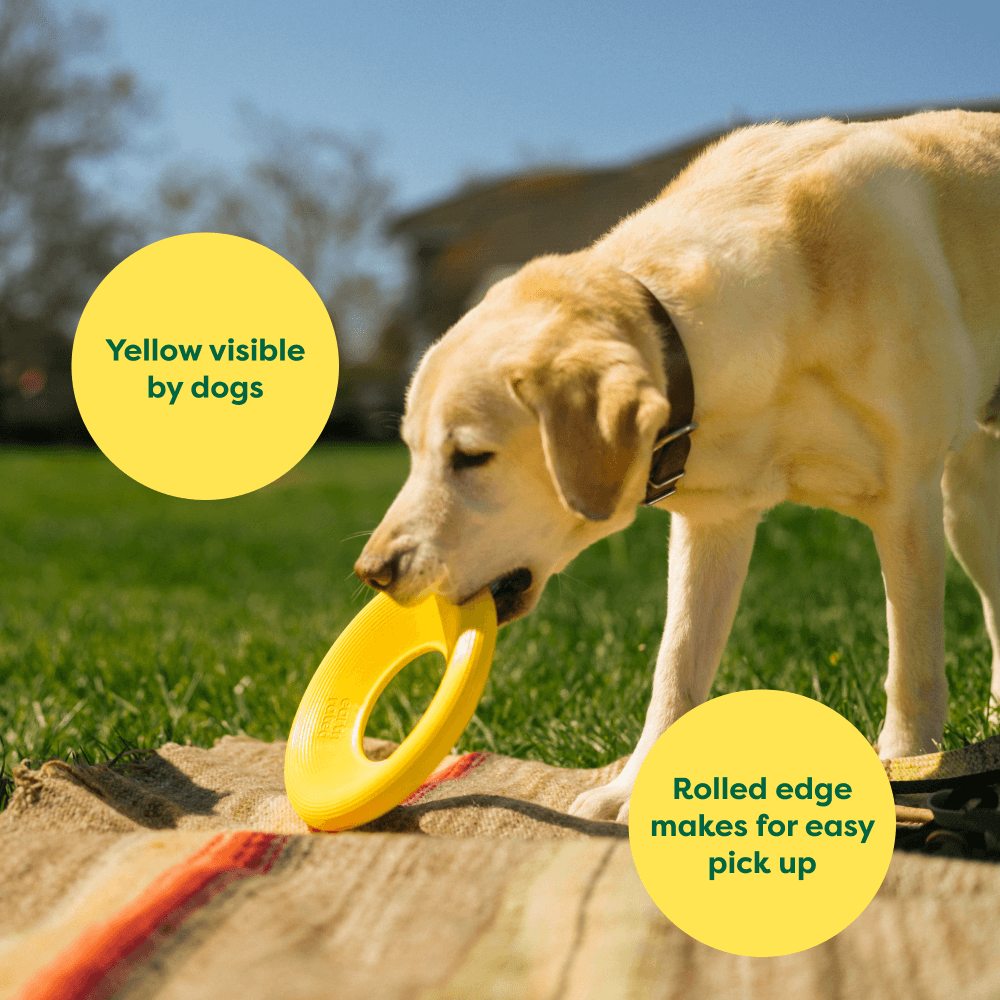 Earth Rated Earth Rated Flyer Toy