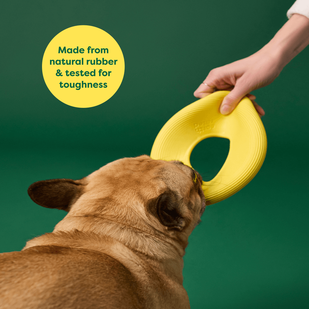 Earth Rated Earth Rated Flyer Toy