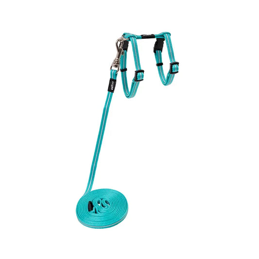 Rogz Alley Cat Classic Harness & Lead Set -Teal