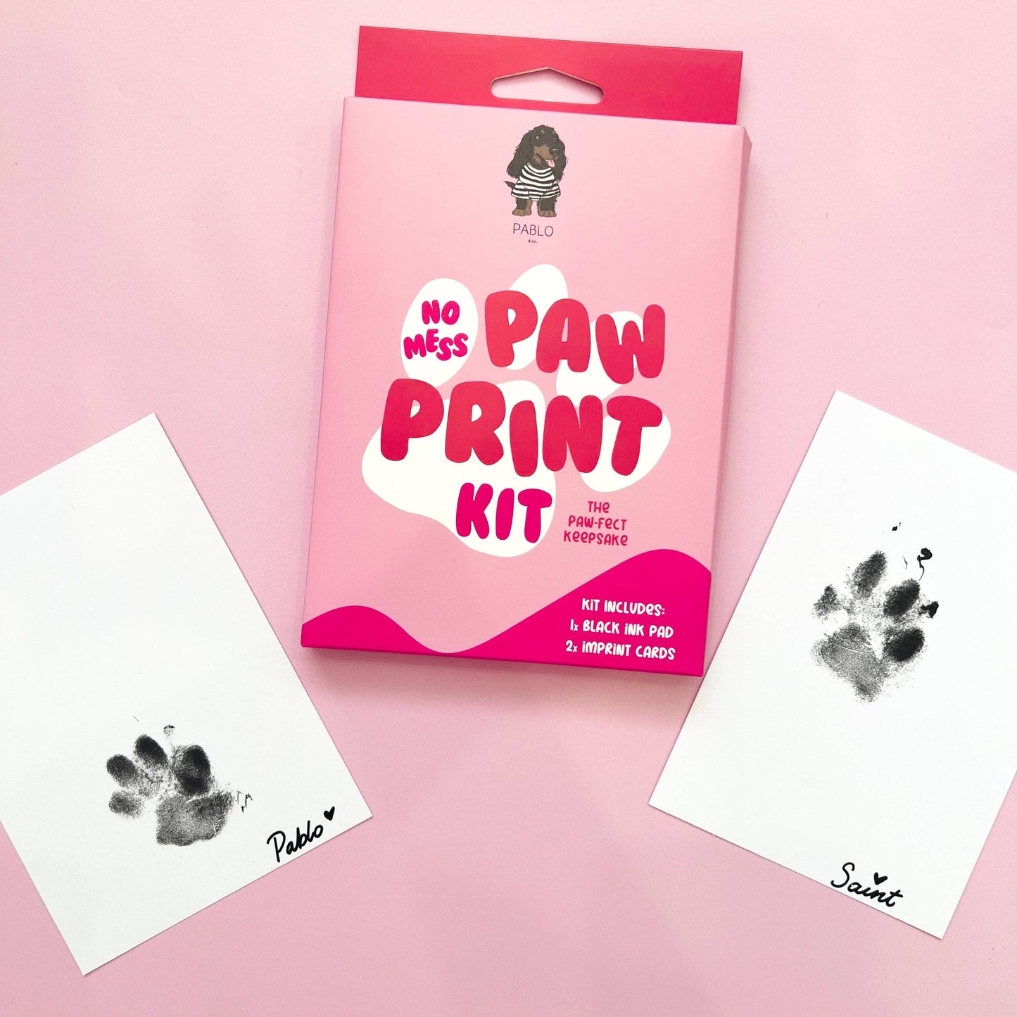 No Mess Paw Print Kit By Pablo & Co.