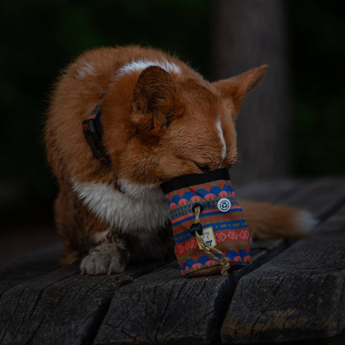 Nightless Night Dog Snack Bag