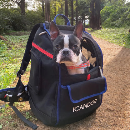 iCANDOR JIGE Bag_Dynamic Black