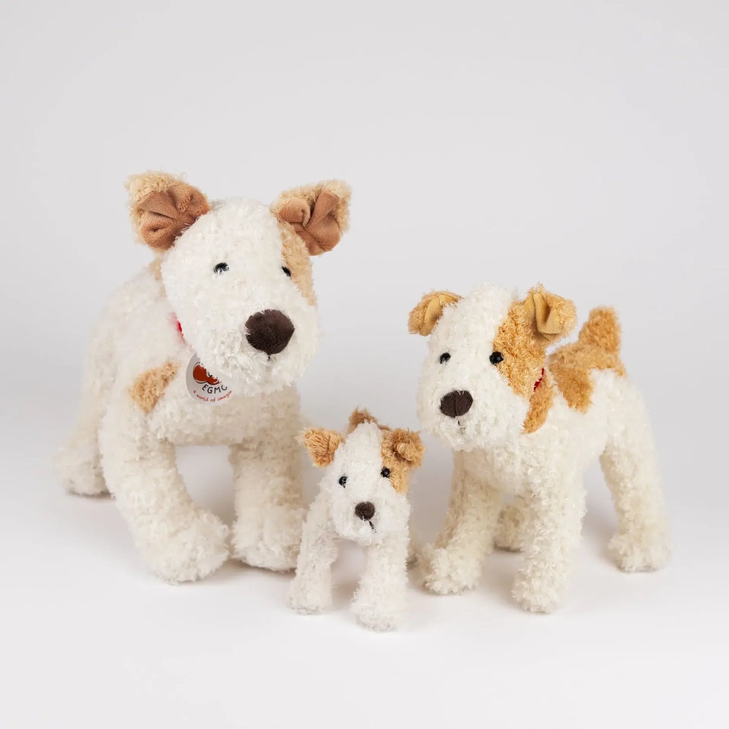 Eliot the Jack Russell
