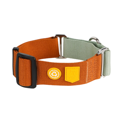 Color Block Martingale Dog Collar Terracotta Mix