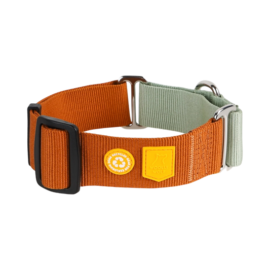 Color Block Martingale Dog Collar Terracotta Mix