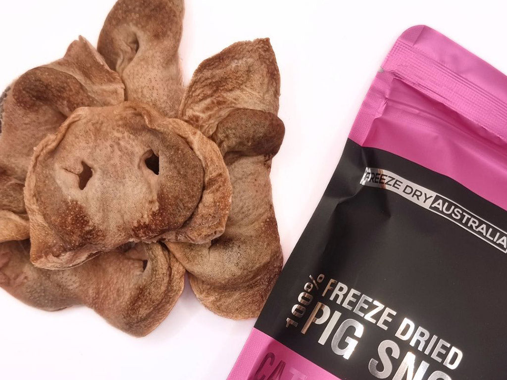 Freeze Dry Australia Freeze Dried Pig Snouts 100g