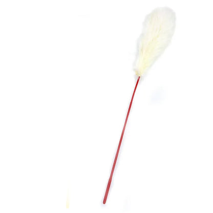 CattyMan FUR FUR AND POM PON Cat Teaser