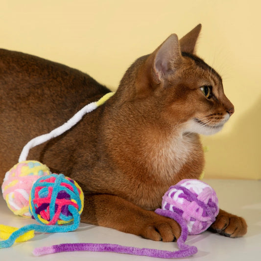 Plush Pom-Pom Cat Toy