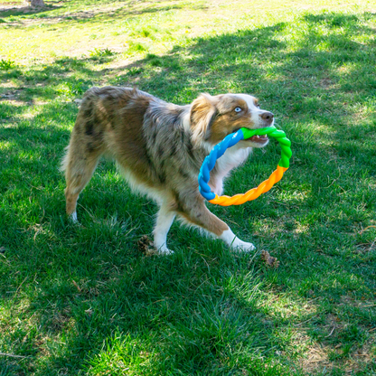 KONG Twistz High-Viz Ring Large