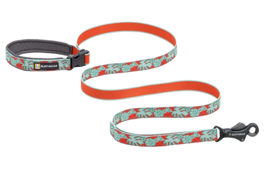 (2026 New) Crag™ Hands-Free Leash