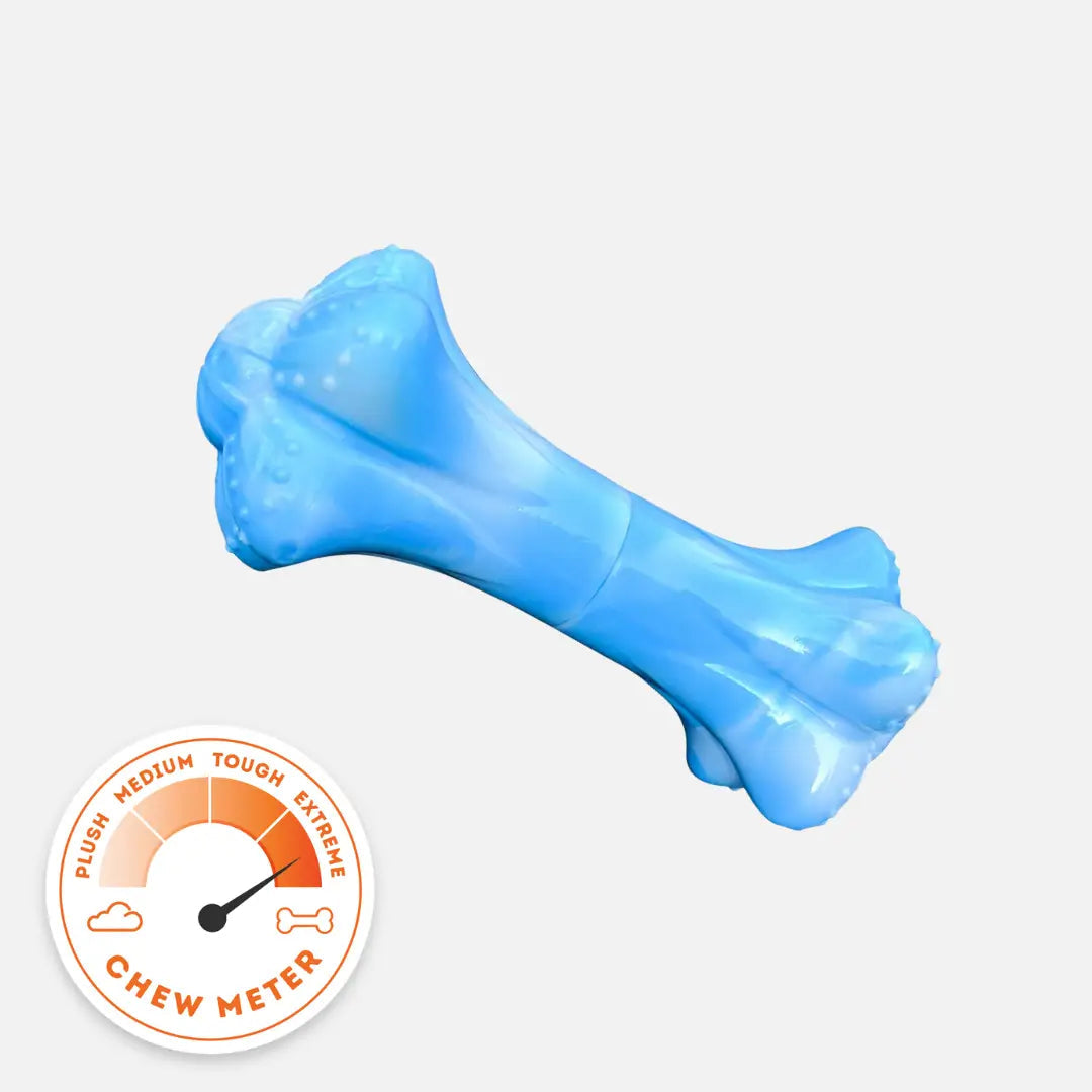 Happy Staffy Co. Chewzilla Musical Bone Dog Chew Toy