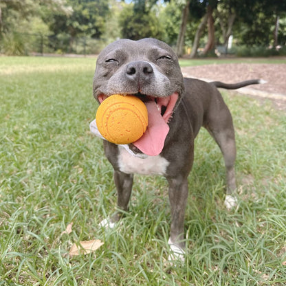 Happy Staffy Duraball