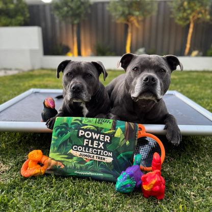 Happy Staffy Co. PowerFlex Jungle Trek Collection Dog Chew Toy