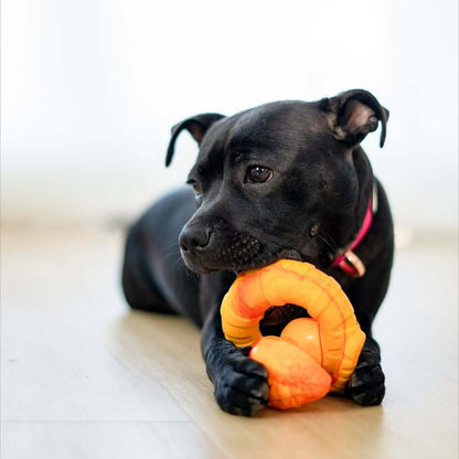 Happy Staffy Co. PowerFlex Jungle Trek Collection Dog Chew Toy