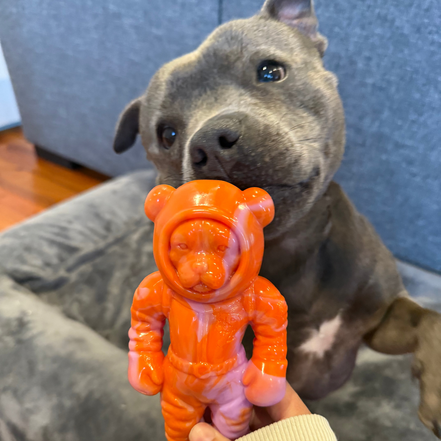 Happy Staffy Co. Astro Pup Dog Chew Toy