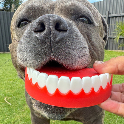 Happy Staffy Co. Chatter Chompers Dog Chew Toy
