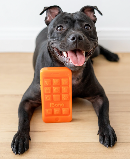 Happy Staffy Co. Chewzilla iBone Dog Chew Toy