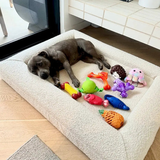 Happy Staffy Co. Squeaky Fish Dog Chew Toy
