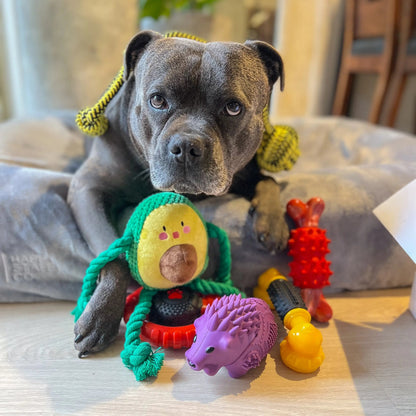 Happy Staffy Co. Power Chew Phone Dog Chew Toy