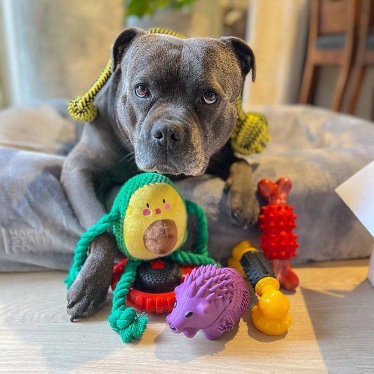Happy Staffy Co. Power Chew Phone Dog Chew Toy